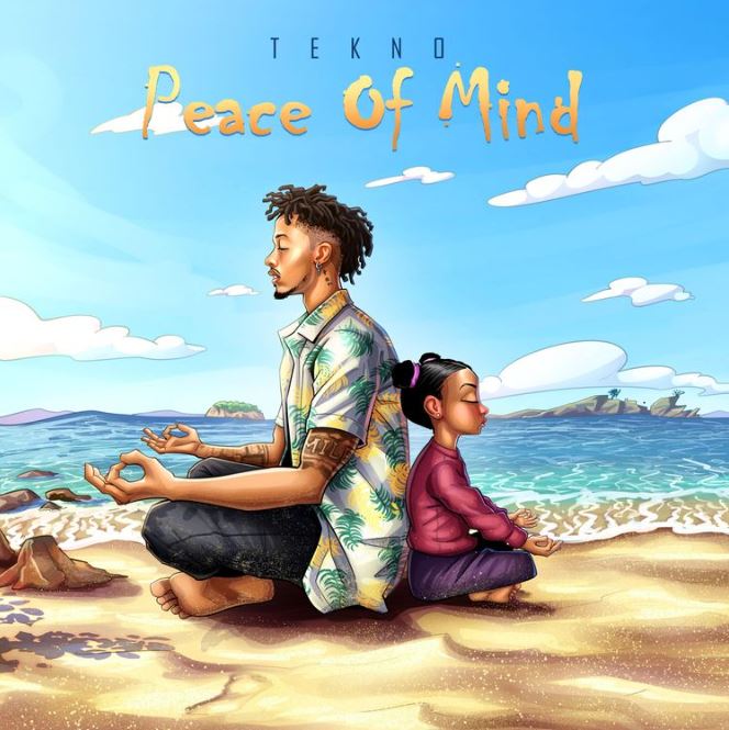 Audio |  Tekno – Peace of Mind | Download MP3