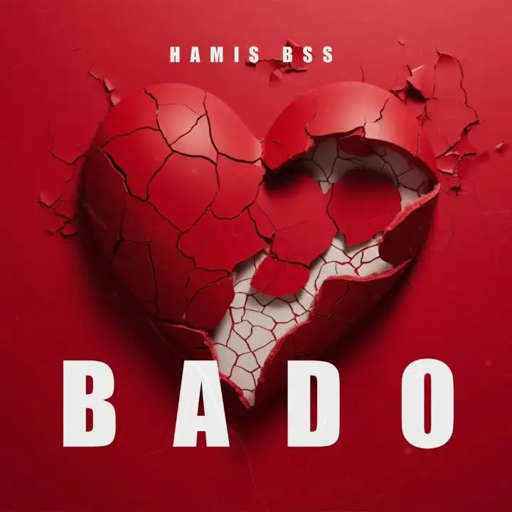 Audio |  Hamis Bss – Bado | Download MP3